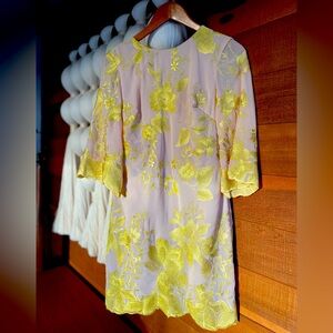 Dress the Population Embroidered Mini Dress